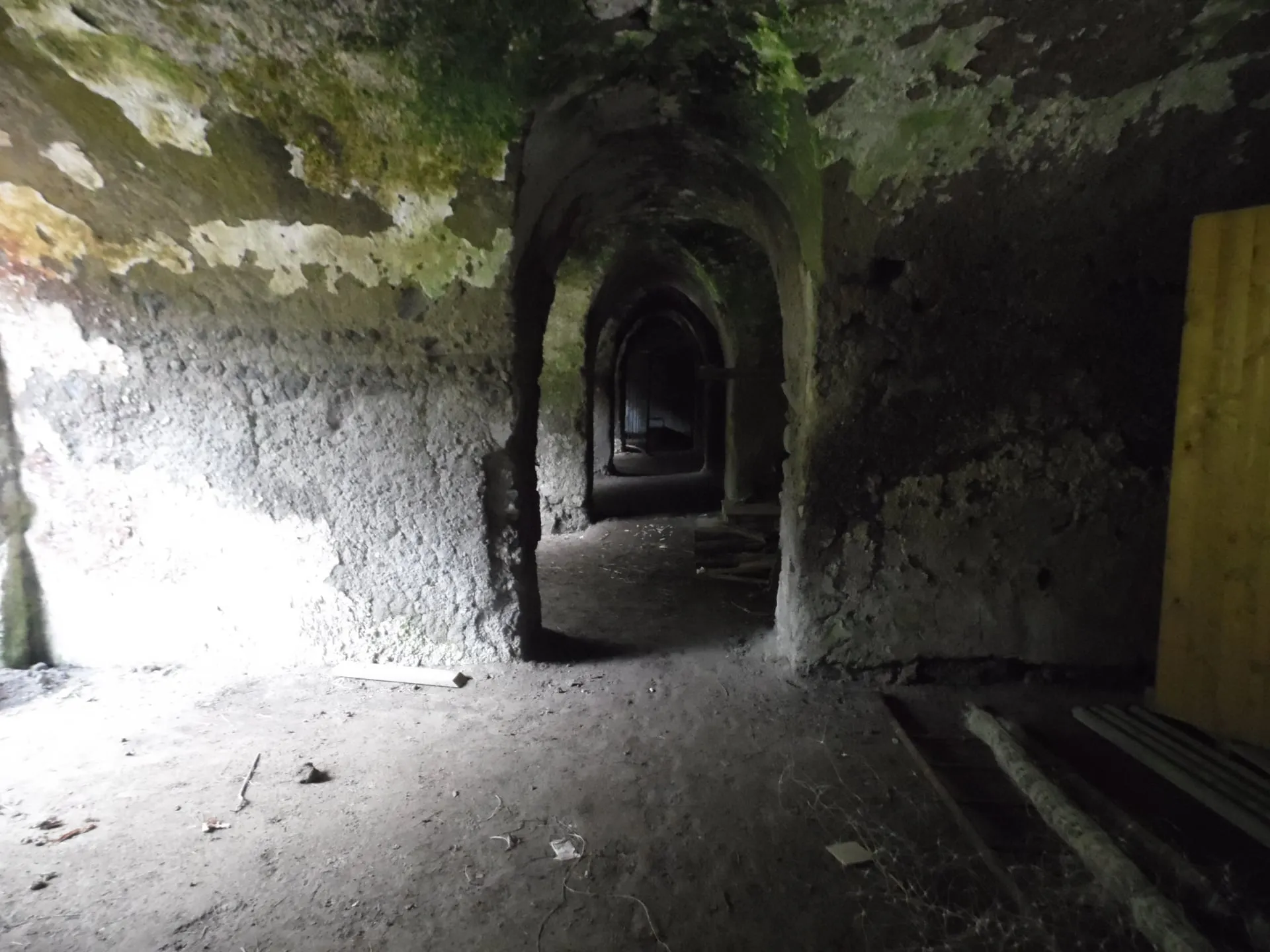 Restauro Palazzo Mediceo - Miniatura confronto prima e dopo 3